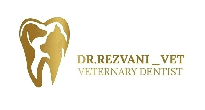 سامانه حرفهای مدیریت پروژه و نمونهکار